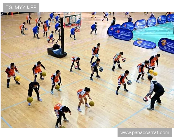 伟易博体育打造全新体育娱乐平台 提供全球赛事直播和多元化互动体验